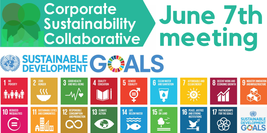 Need a framework for sustainability? Use the UN’s Sustainable Development Goals