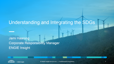 "Understanding and Integrating the SDGs" presentation cover slide